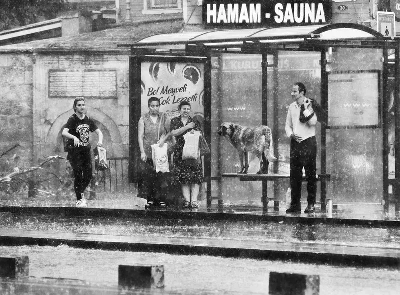 Rainy Bus Stop