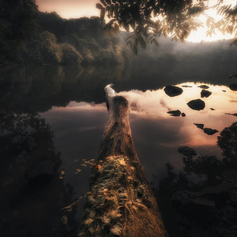 Golden Hour Reflections