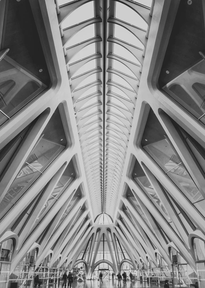 Grand Architectural Perspective