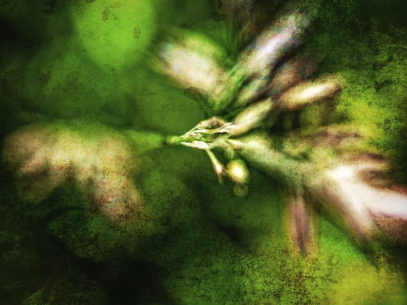 Abstract Green Textures