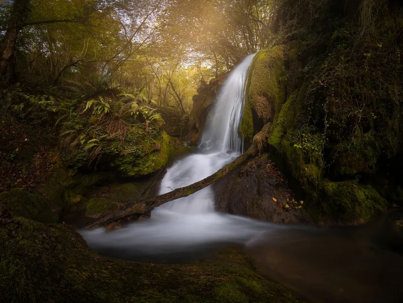 Autumn Forest Waterfall
