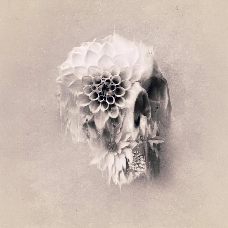 Ethereal Floral Skull
