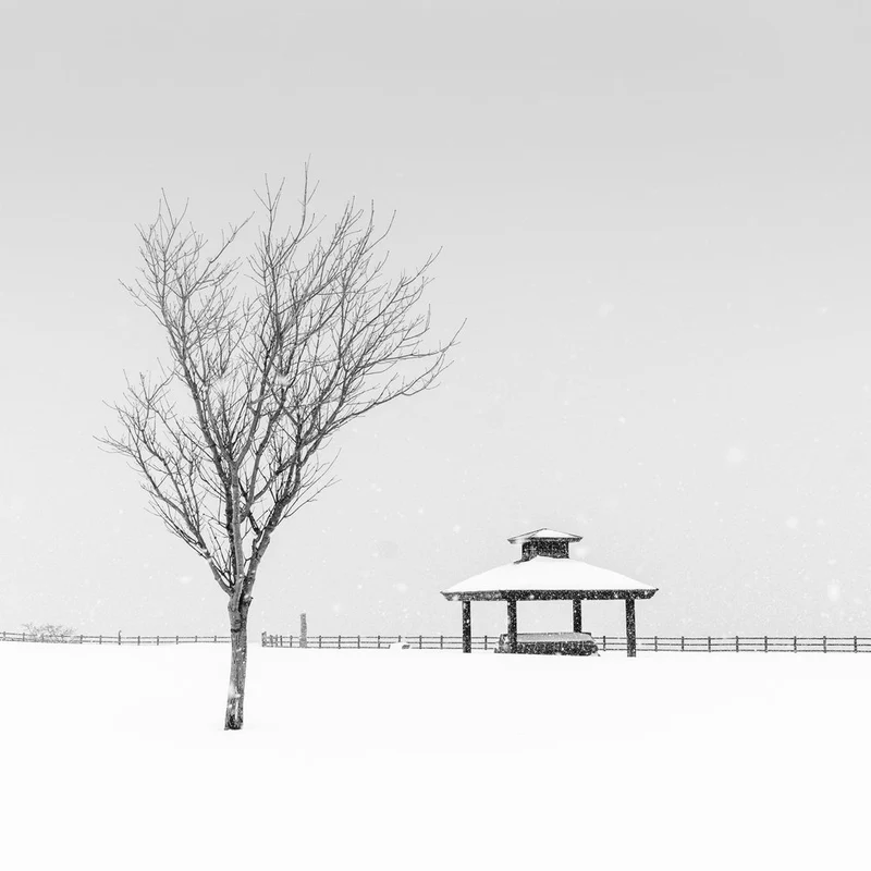Snowy Winter Gazebo