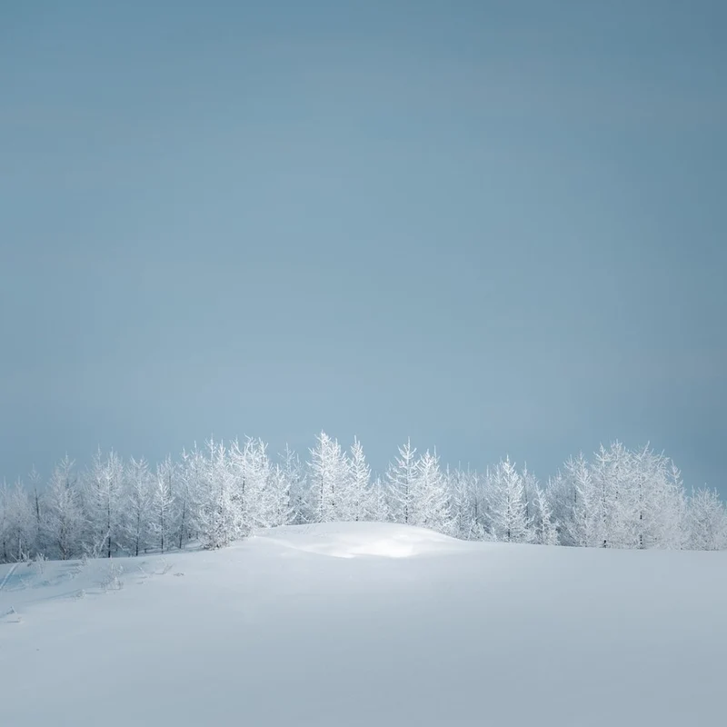 Serene Winter Landscape