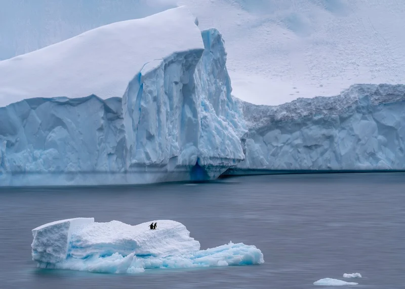 Two Penguins Iceberg