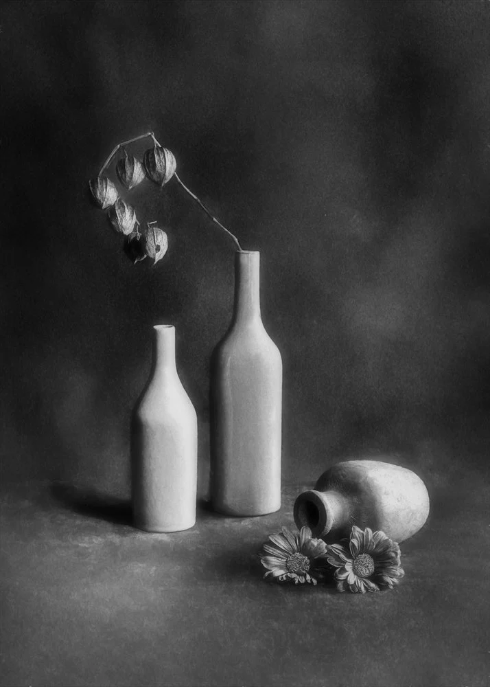 Elegant Dried Still Life