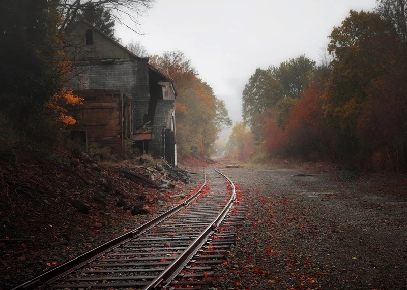 Misty Autumn Tracks