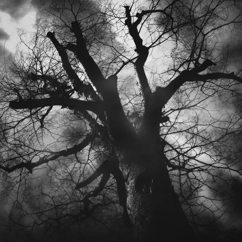 Gothic Twisted Tree