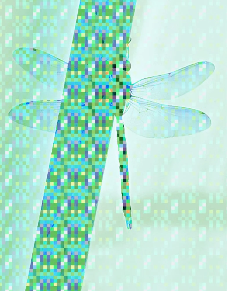 Pixelated Dragonfly