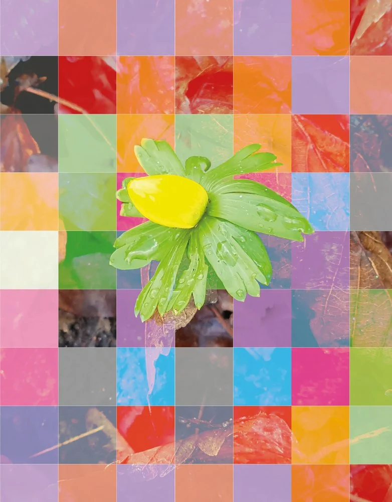 Vibrant Floral Mosaic