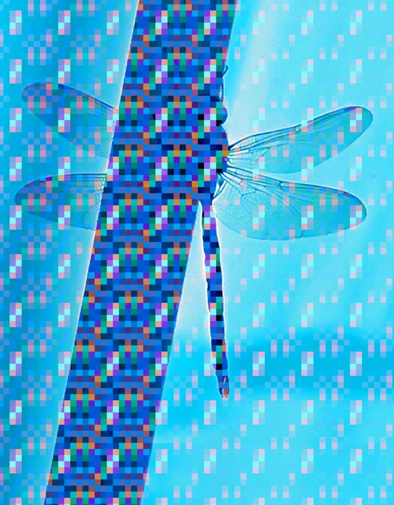 Vibrant Digital Dragonfly