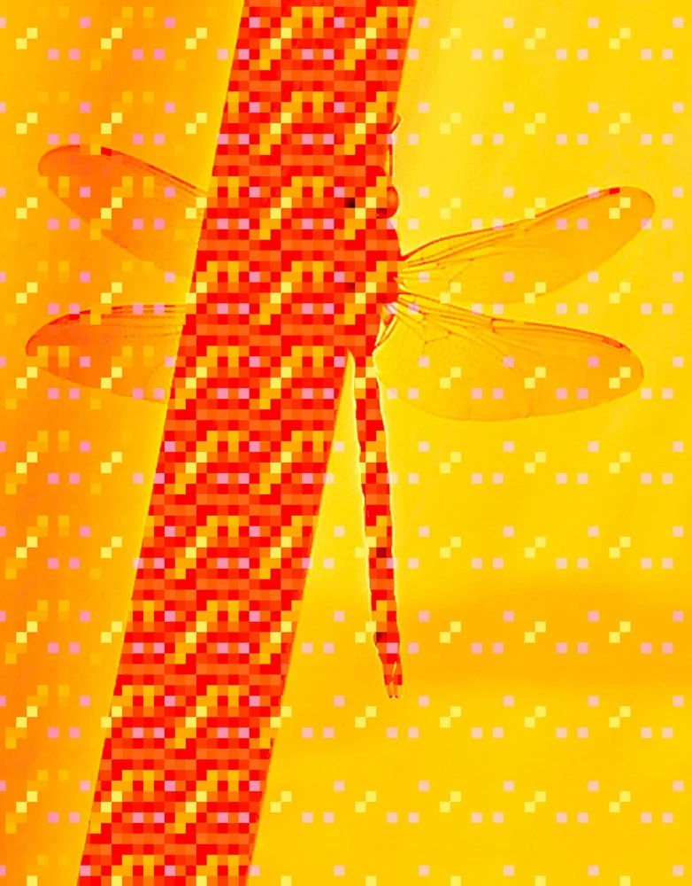 Vibrant Geometric Dragonfly
