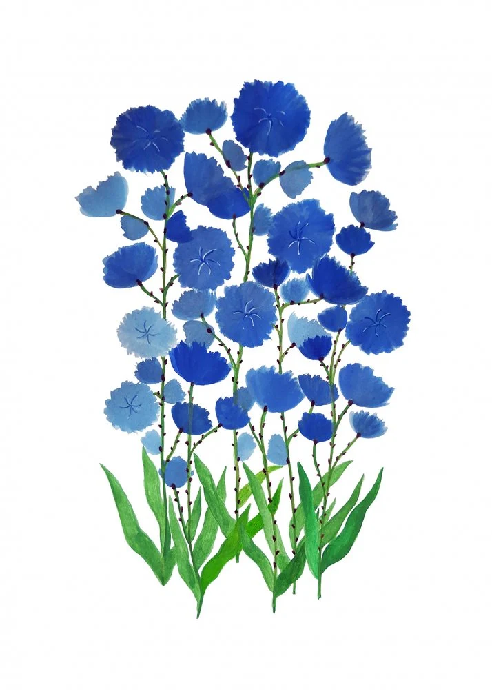 Vibrant Blue Flowers