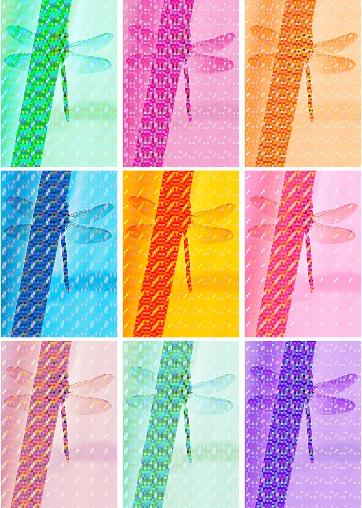Colorful Dragonflies Pattern
