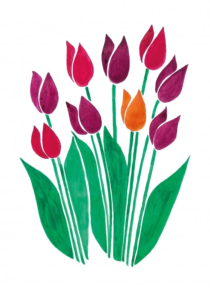Colorful Spring Tulips