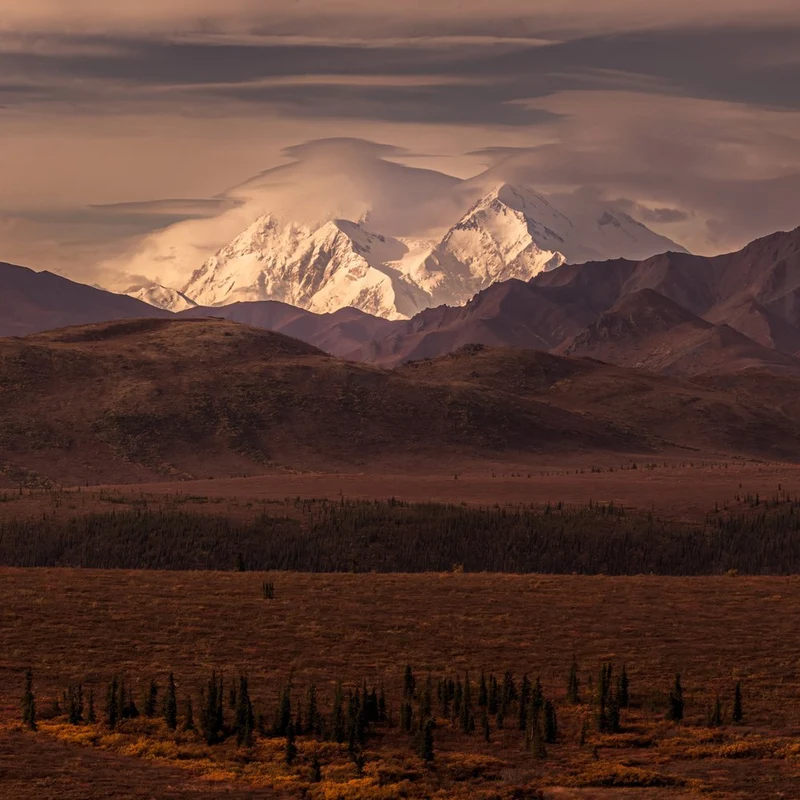 Majestic Denali Landscape