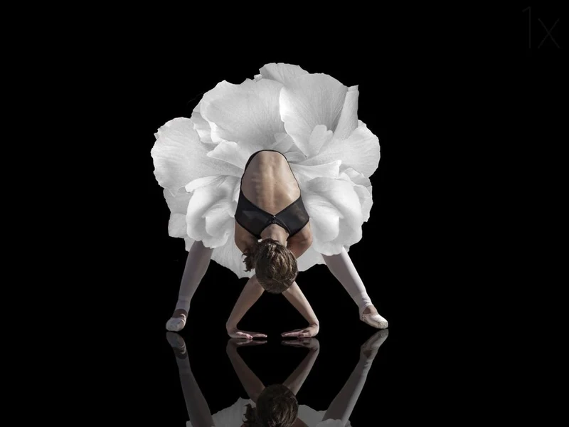 Ballet Flower Reflection