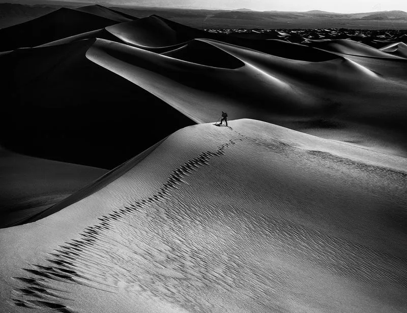 Dune Walker