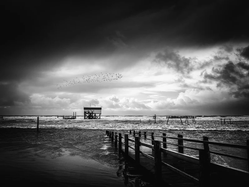 Moody Coastal Stilt House