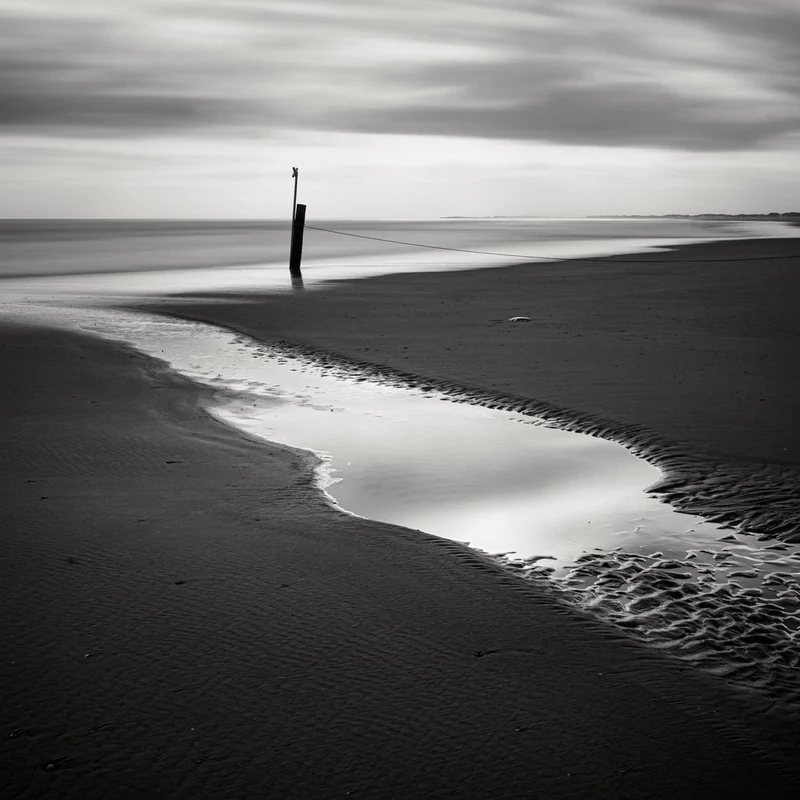 Coastal Post Reflection