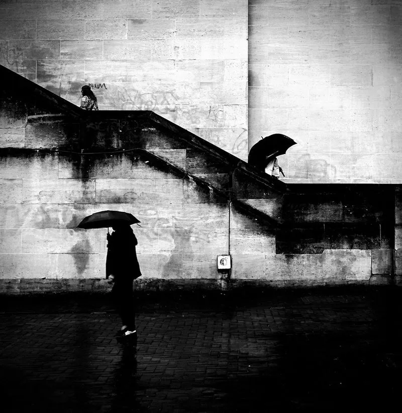 Rainy Day Umbrellas