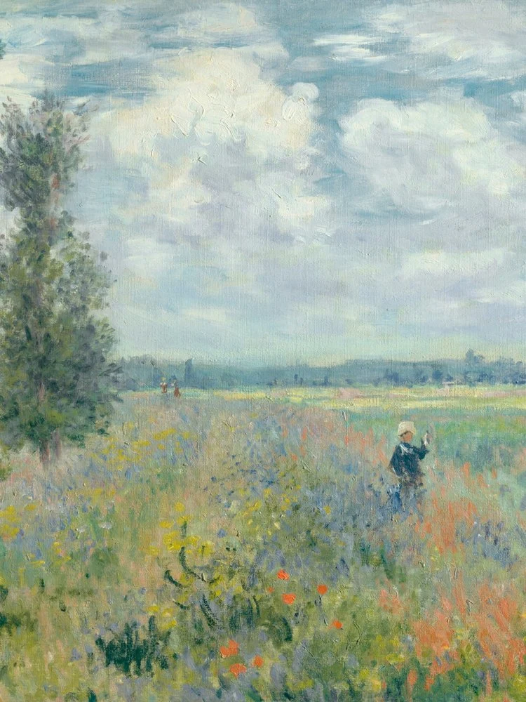 Child in a Flower Field
