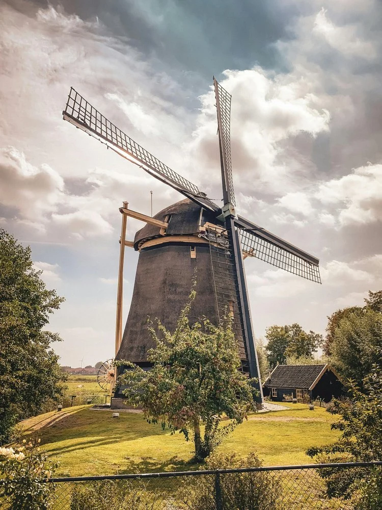 Dutch Windmill Landscape