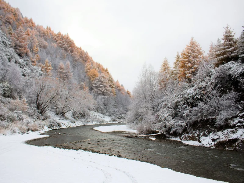 Golden Winter Stream