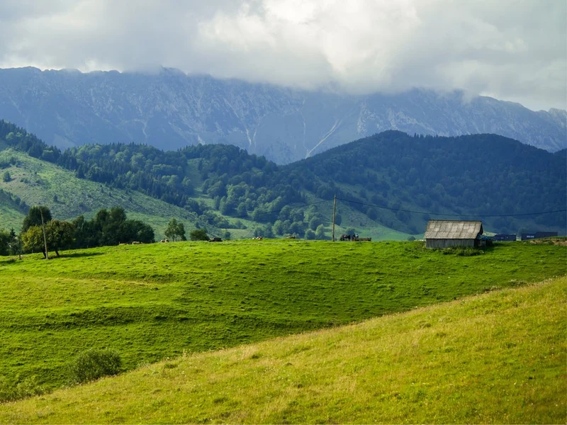 Green Mountain Pasture