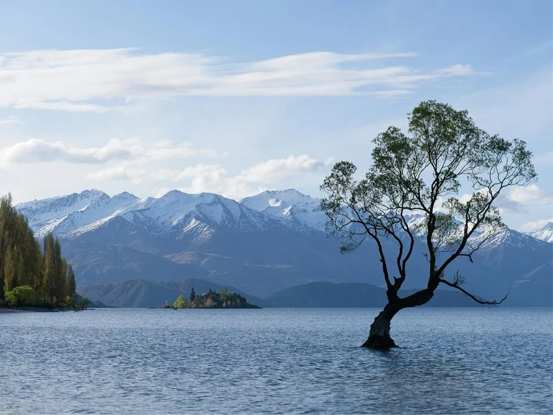 Wanaka Tree Lake Mountains