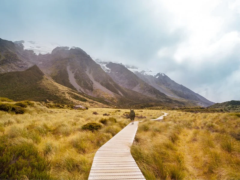 Vast Mountain Trail