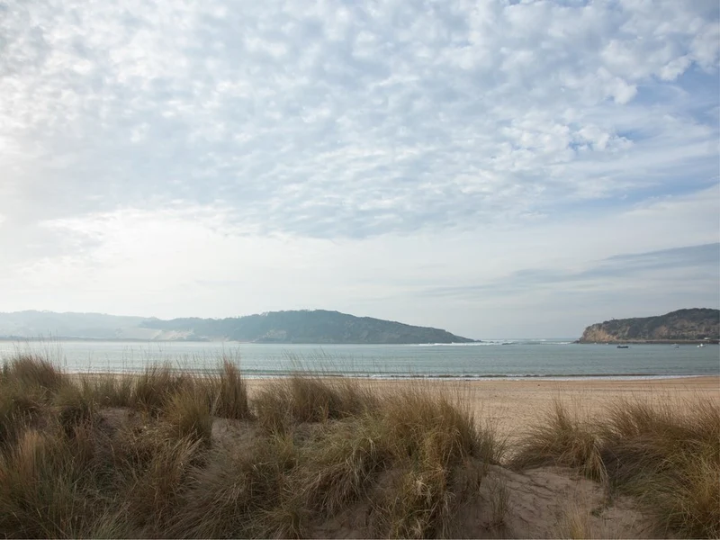 Serene Coastal Dunes