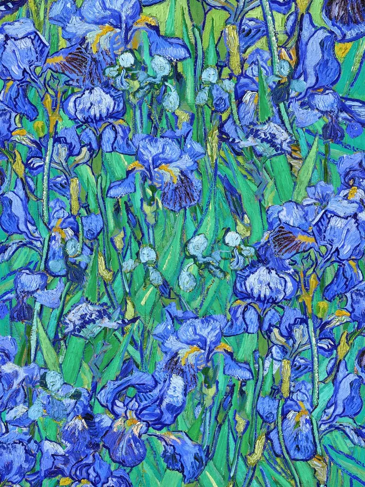 Painterly Blue Irises