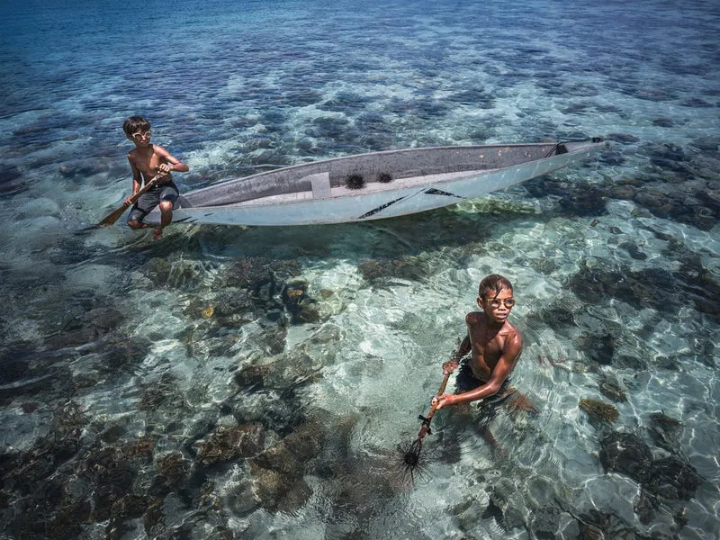 Young Urchin Hunters