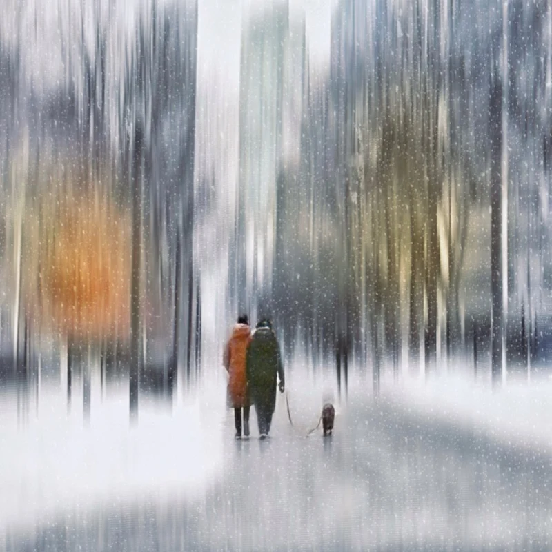 Peaceful Winter Walk