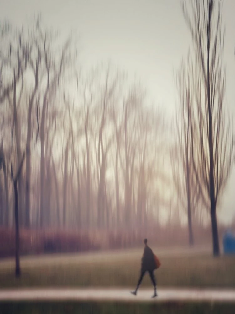 Misty Park Stroll