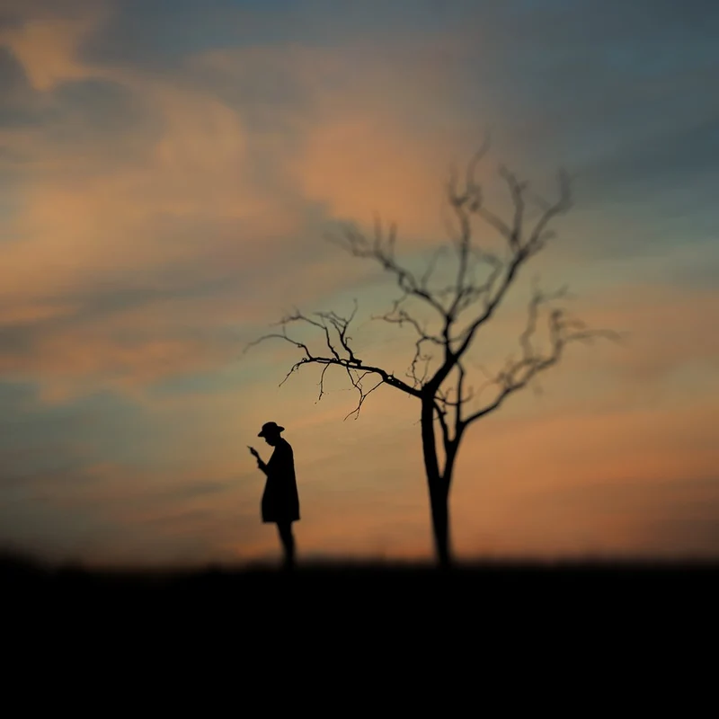 Solitary Sunset Silhouette