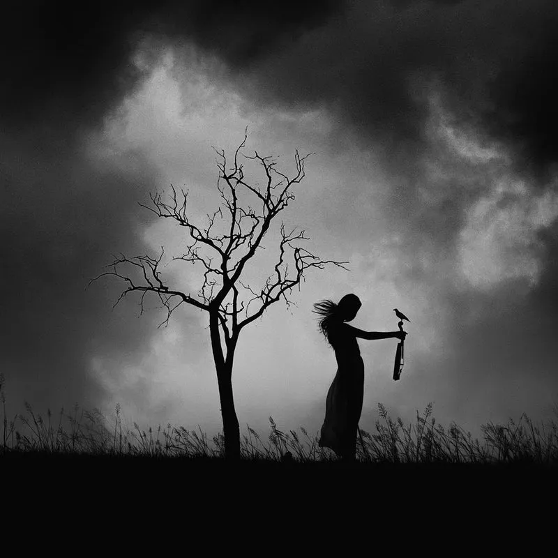 Solitary Woman Dark Sky