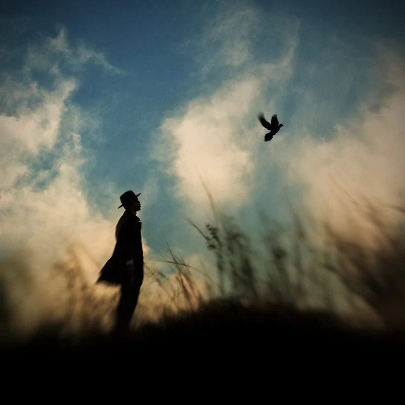 Man and Soaring Bird
