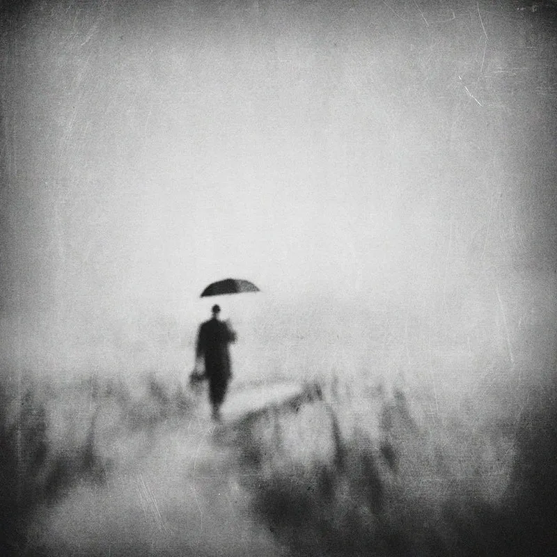Man Walks Misty Path