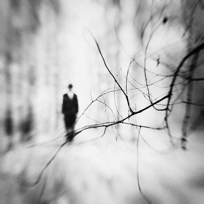 Solitary Figure In Winter