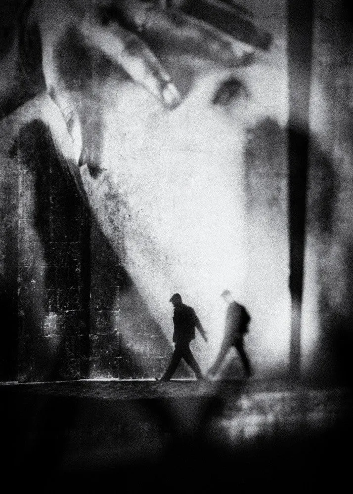 Dans l'ombre