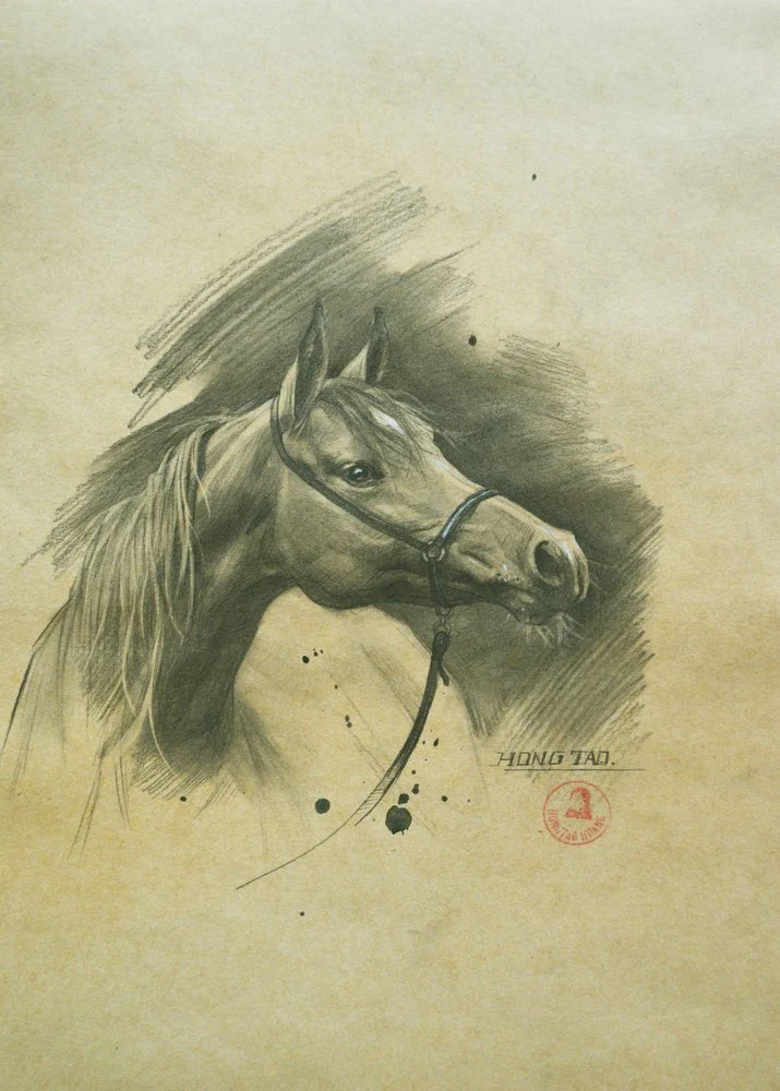 Spirited Horse Portrait