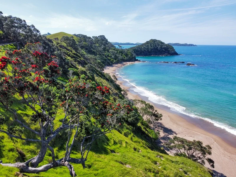 Pohutukawa Lined Bay