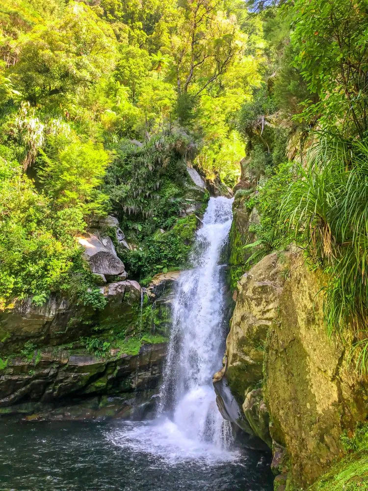 Lush Jungle Cascade