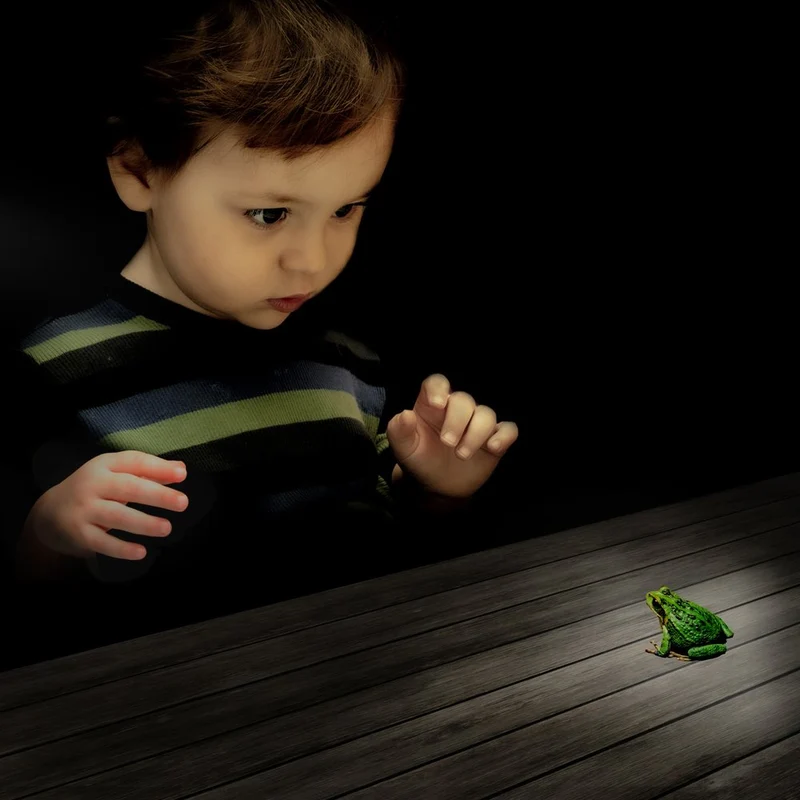 Curious Boy and Frog