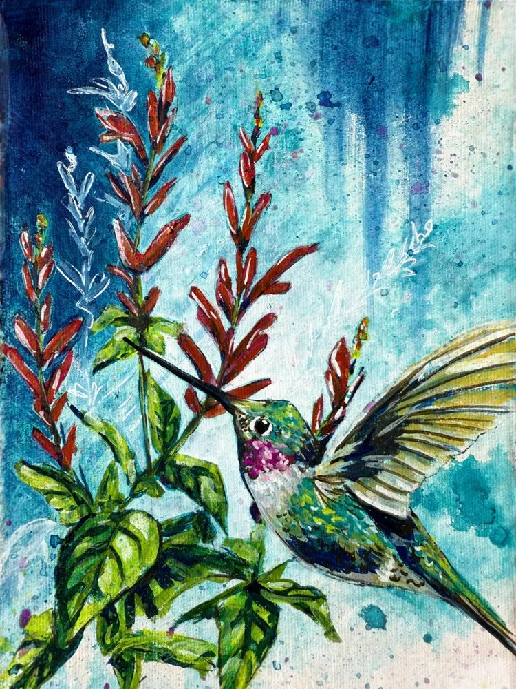 "Hover" Hummingbird and Pineapple Sage Flowers By Renee Machan