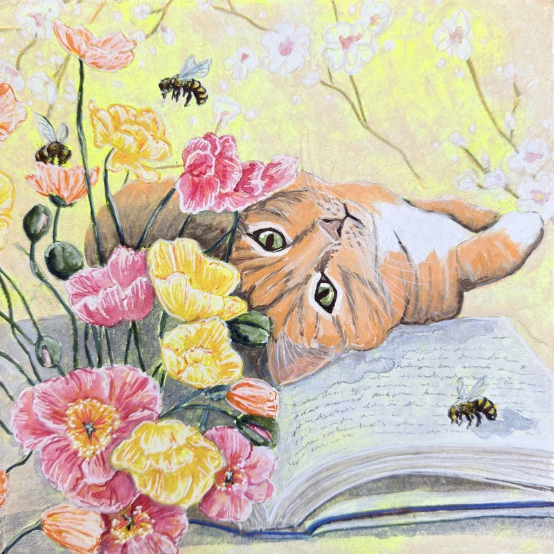 Cat Among Poppies