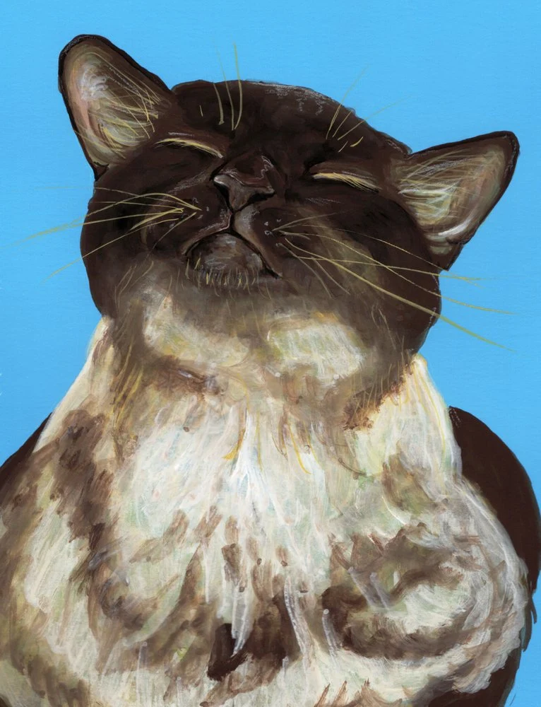 Blissful Brown Cat