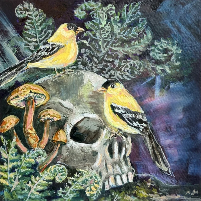 Dark Nature Goldfinches